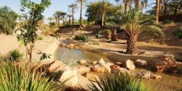 تنمية الجنوب التونسي في مرمى الانتقادات والشكوك بعد سنوات التهميش