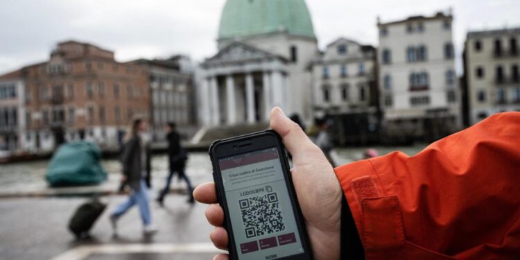 ذواق العسل… حرفة تتحدى لسعات النحل