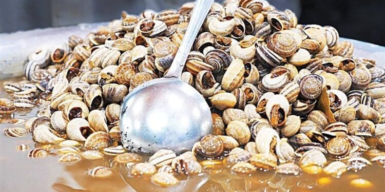 الحلزون المغربي يغزو منطقة الأندلس