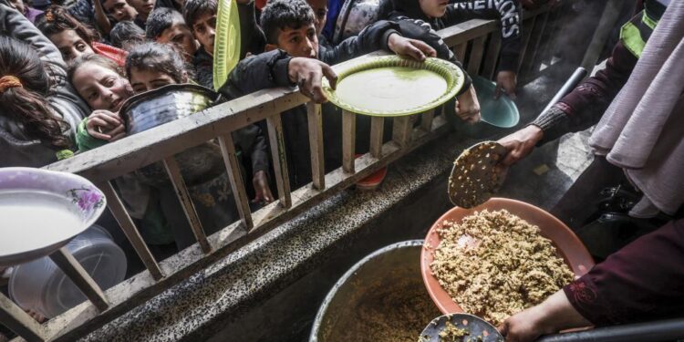 الأمم المتحدة تعلن نفاذ المساعدات الإنسانية في غزة