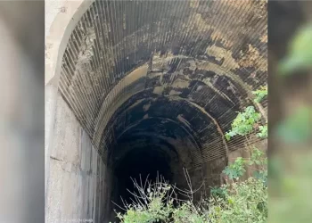 كنـــز مهمل بإمكانه إنقاذ لبنان اقتصاديا