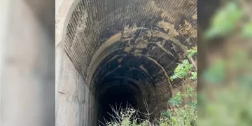 كنـــز مهمل بإمكانه إنقاذ لبنان اقتصاديا