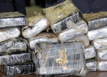 اليونان .. مصادرة كمية كبيرة من الكوكايين مخبأة في شحنة جمبري