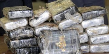 اليونان .. مصادرة كمية كبيرة من الكوكايين مخبأة في شحنة جمبري