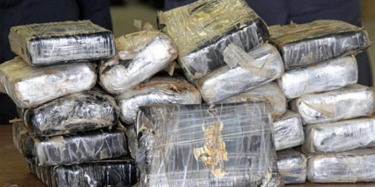 اليونان .. مصادرة كمية كبيرة من الكوكايين مخبأة في شحنة جمبري