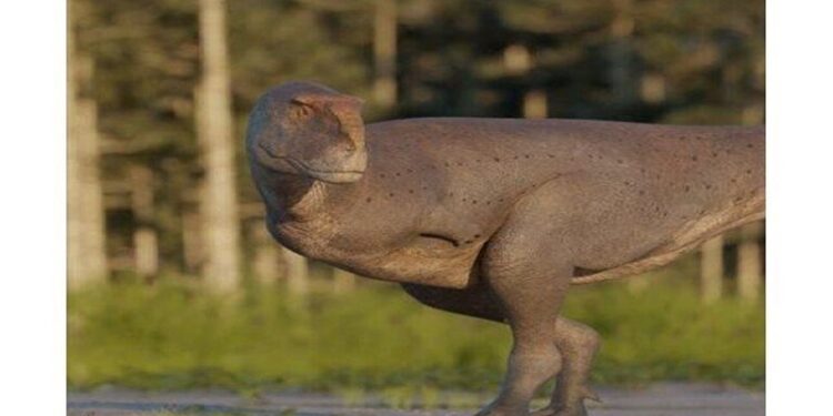 العثور على نوع جديد من الديناصورات “آكلة اللحوم”