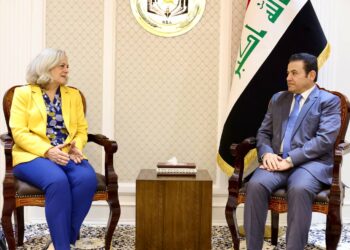 مستشار الأمن القومي يستقبل السفيرة الأمريكية
