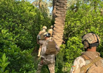 انطلاق عملية أمنية في بساتين شمال بغداد