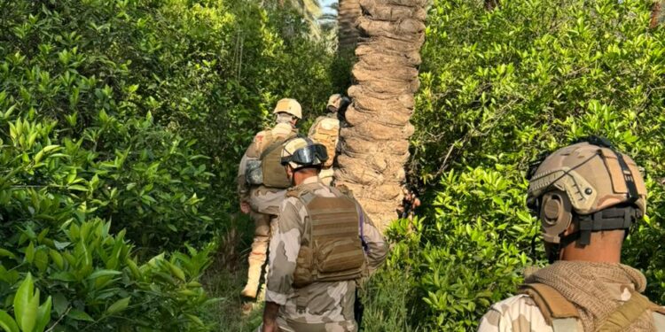 انطلاق عملية أمنية في بساتين شمال بغداد