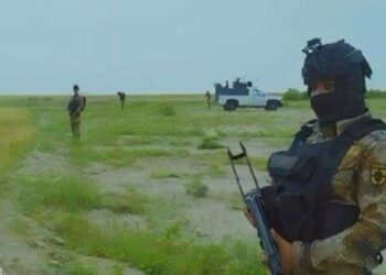 الحشد الشعبي يؤمــن حصاد الحنطة شرق الانبار