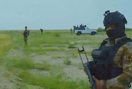 الحشد الشعبي يؤمــن حصاد الحنطة شرق الانبار