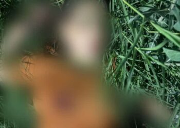 تفاصيل مصرع فتاة باطلاق نار في منطقة اليرموك