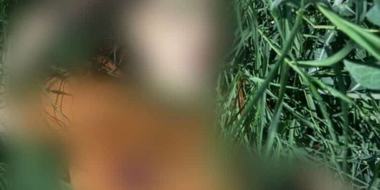 تفاصيل مصرع فتاة باطلاق نار في منطقة اليرموك