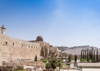 شجرة السرو التي تزين اللباس الفلسطيني التقليدي