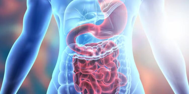 اكتشاف طبي مهم يخص “التهاب الأمعاء”