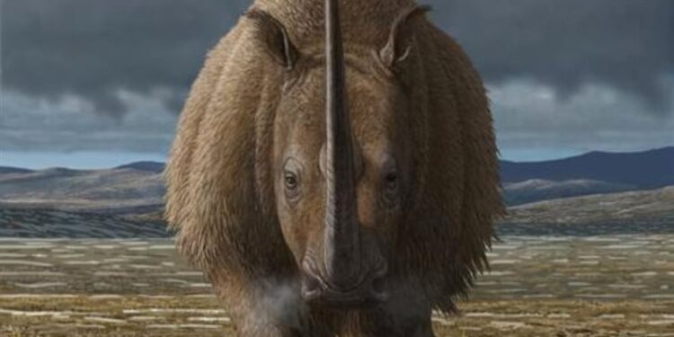 كشف اسباب انقراض وحيد القرن الصوفي