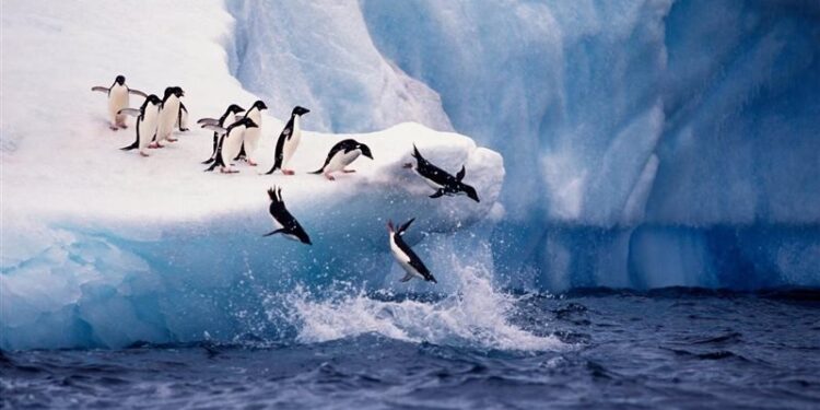 استخراج تربة عمرها (مليار سنة) من القارة القطبية الجنوبية