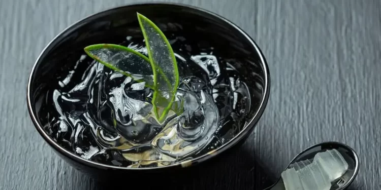 رغم فوائدها لا تناسب الجميع ,,, احـــذر الألوفيرا