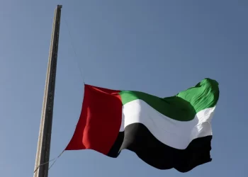 الامارات .. تعيين ولي عهد دبي وزيرا للدفاع