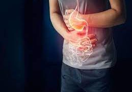 علاقة الربط بين القلق وصحة الأمعاء