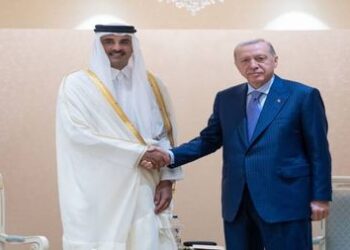 أردوغان يلتقي أمير قطر على هامش القمة 24