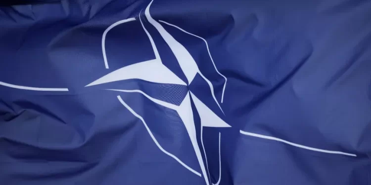 من يمول الناتو وكيف؟