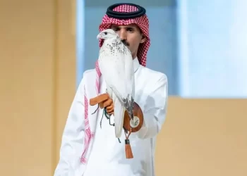 السعودية.. بيع صقر بـ 400 ألف ريال في “مزاد الرياض”