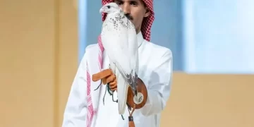 السعودية.. بيع صقر بـ 400 ألف ريال في “مزاد الرياض”