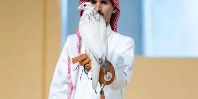 السعودية.. بيع صقر بـ 400 ألف ريال في “مزاد الرياض”