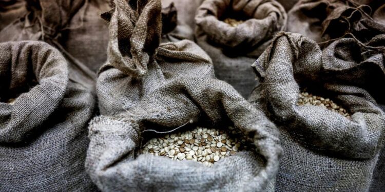 الأردن يعلن إحباط محاولة تهريب مخدرات من سوريا