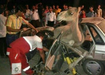 إيران تعلن عن ارتفاع في عدد وفيات زيارة الأربعين