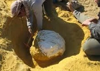 رحلة استخـــراج الذّهب في صحراء أسوان