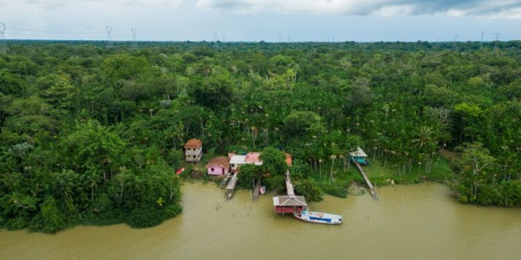 قبيلة ماشكو بيرو التي ظهرت من جديد بسبب قطع الأشجار في الأمازون
