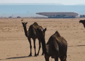 تفاعل سعودي مع رحلات “بوينغ” البرية وجائزة لأجمل صورة