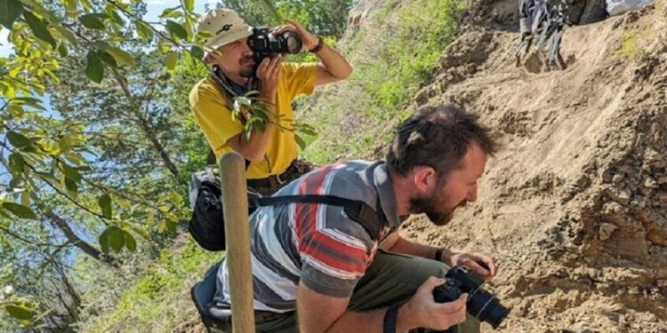 اكتشاف بقايا شجرة شبه استوائية عمرها 184 مليون سنة