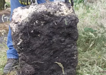 ايرلندا.. العثور على 25 كيلو زبدة تعود للقرن الـ 16 “طعمها كما هو”