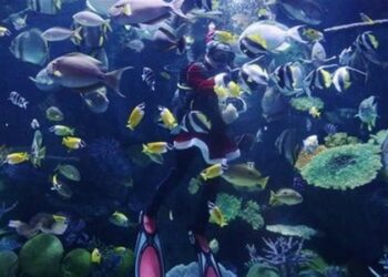 بعض الأسماك قادرة على التعلم والشعور بالألم