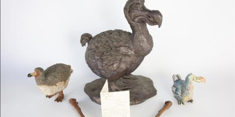مزاد علني في بريطانيا لبيع عظام طائر الدودو