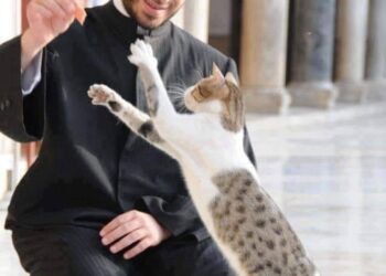 فتاوى عن تربية القطط وعمل المرأة تثير “انتقادات سوشيالية”