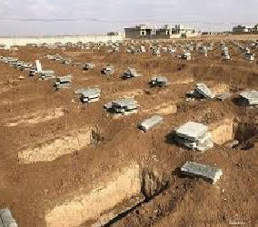 يونيتاد يودع العراق