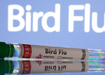 أميركا.. أول إصابة بشرية بإنفلونزا الطيور