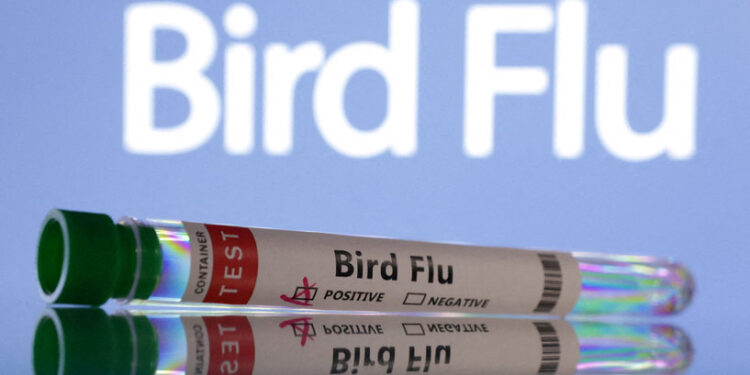 أميركا.. أول إصابة بشرية بإنفلونزا الطيور