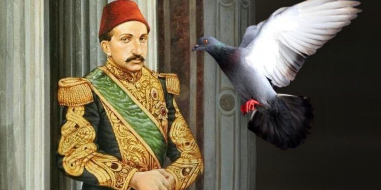 الحمام الجاسوس,,, جنود السلطان التركي عبدالحميد الثاني