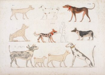 المصريون والكلاب… من أنوبيس حارس المقابر إلى كلب الهرم الأكبر