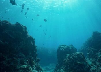 تضاعف وتيرة ارتفاع درجة حرارة المحيطات منذ 2005