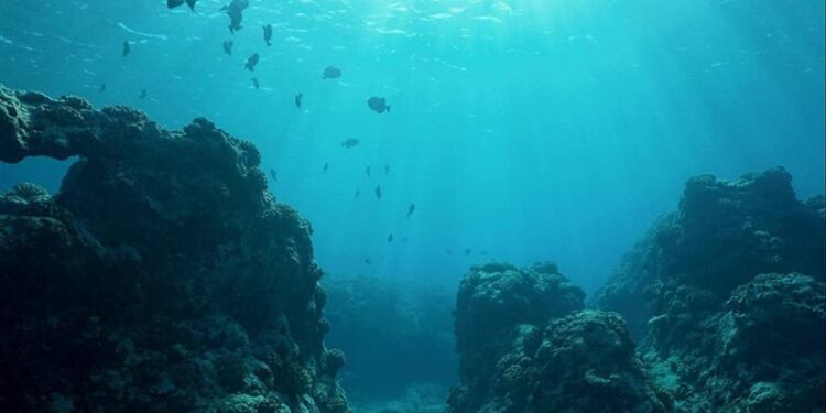 تضاعف وتيرة ارتفاع درجة حرارة المحيطات منذ 2005