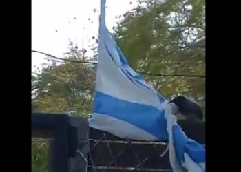 عودة الغراب لتمزيق علم إسرائيل يثير الدهشة