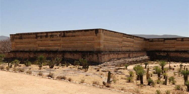 المكسيك.. اكتشاف أنفاق تنتمي للحضارة الزابوتيكية القديمة