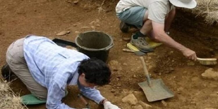 اكتشاف بقايا مستوطنة من العصر الحجري الحديث في شمال الصين