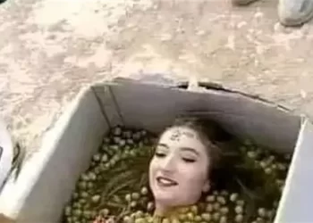 اطقوس غريبة لجذب العريس في بلاد الشام ,,, لاستلقاء فوق حبات الزيتون